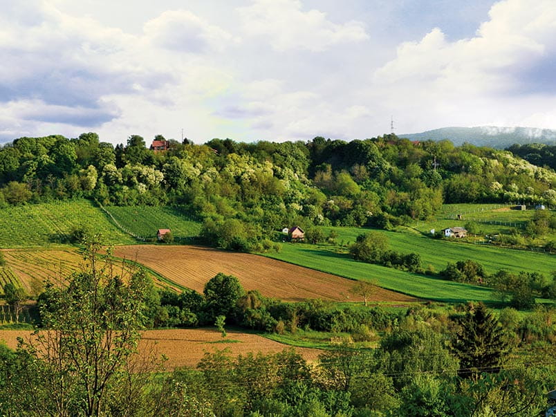 Spring landscape of the National Park Fruska Gora, Serbia